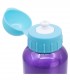 Botella De Aluminio 530 ML Princesas Disney