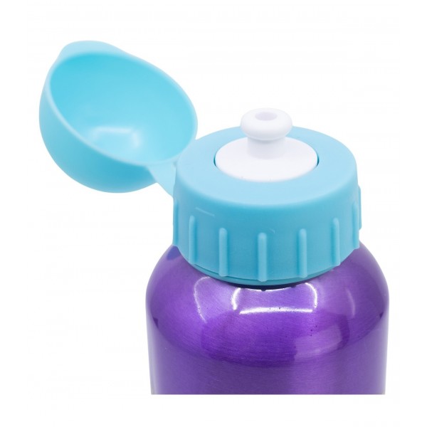 Botella De Aluminio 530 ML Princesas Disney